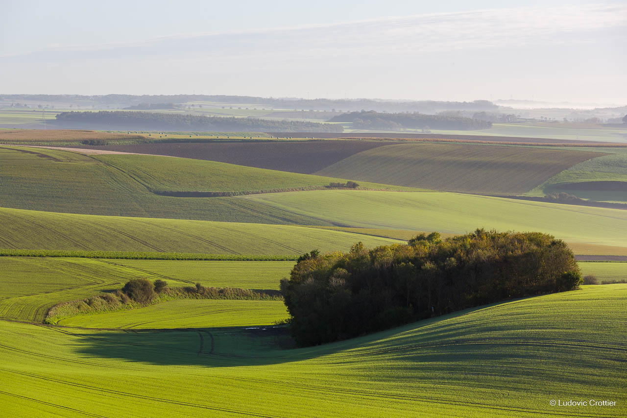 Arrière pays d'Hardelot