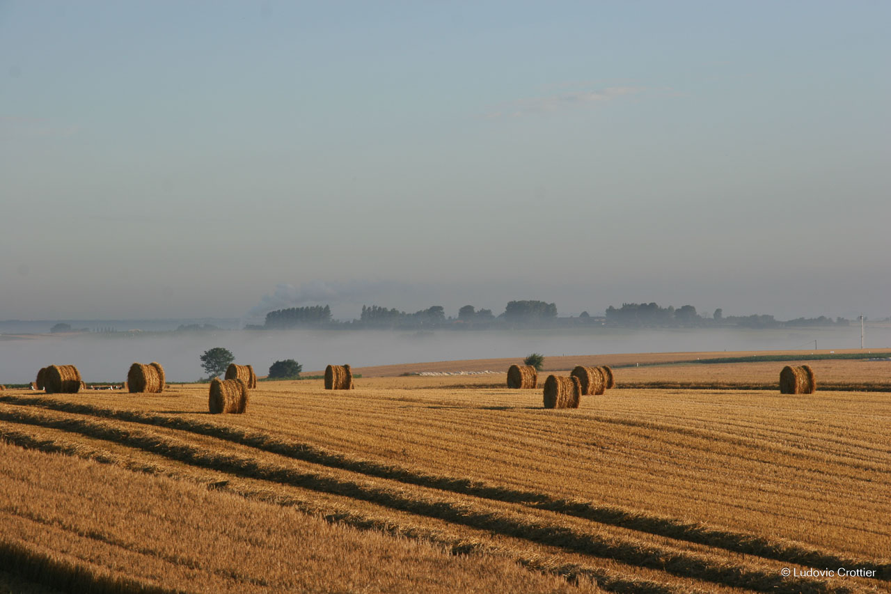 Arrivée sur Saint-Omer au petit matin